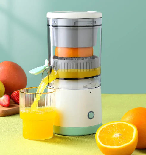 Mini Electric Juicer Blender